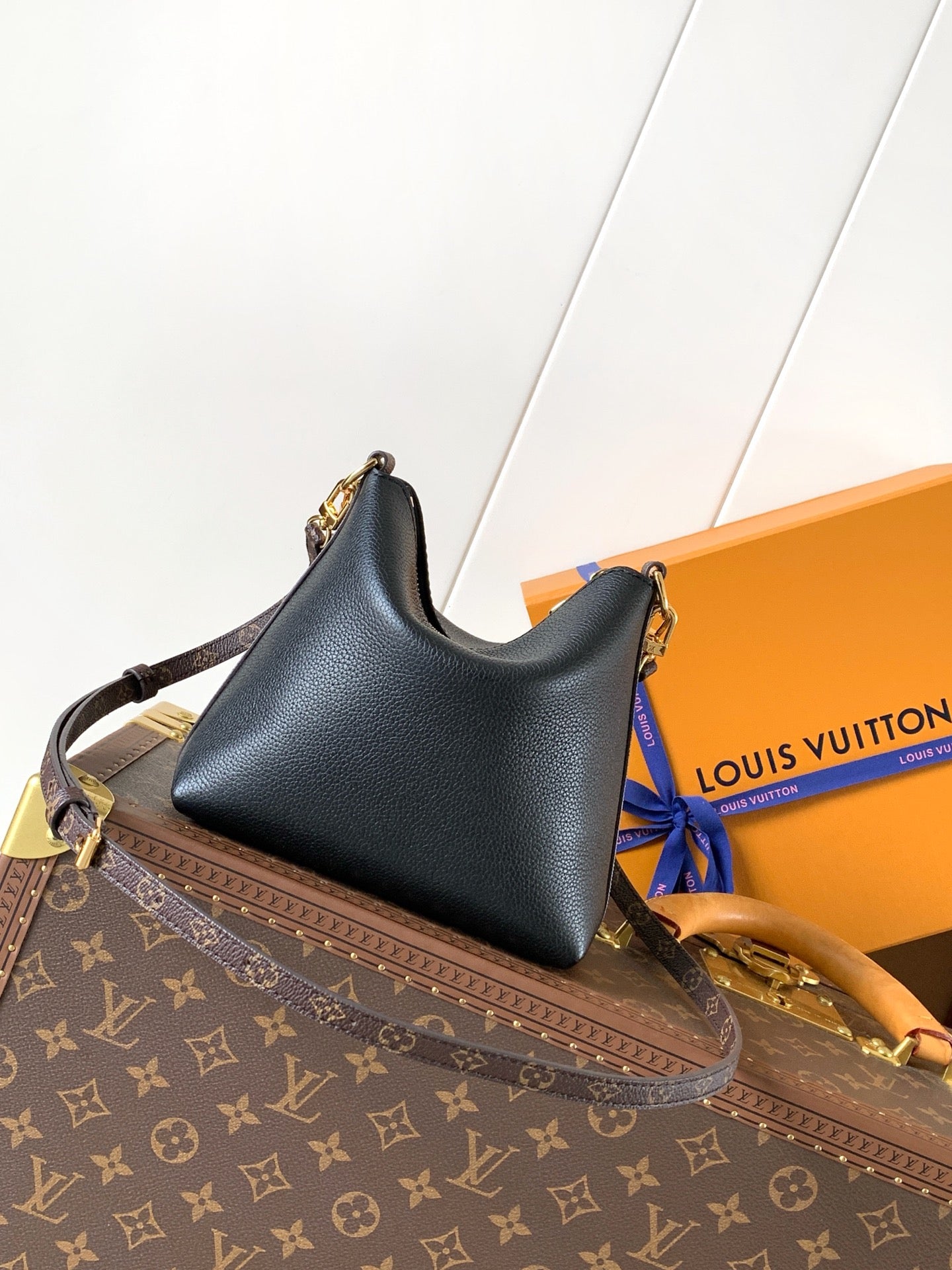 LV Handbag