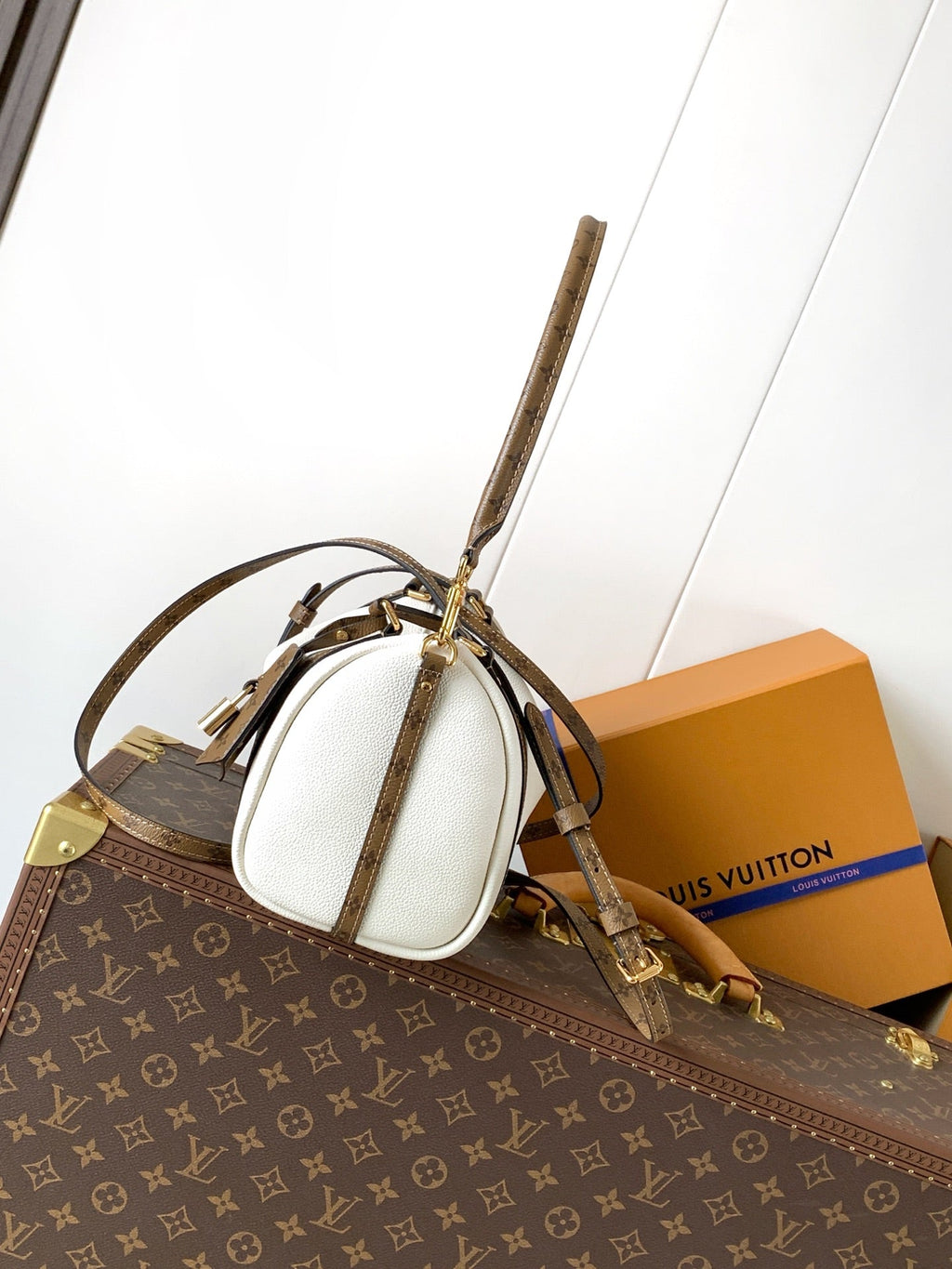 LV Handbag